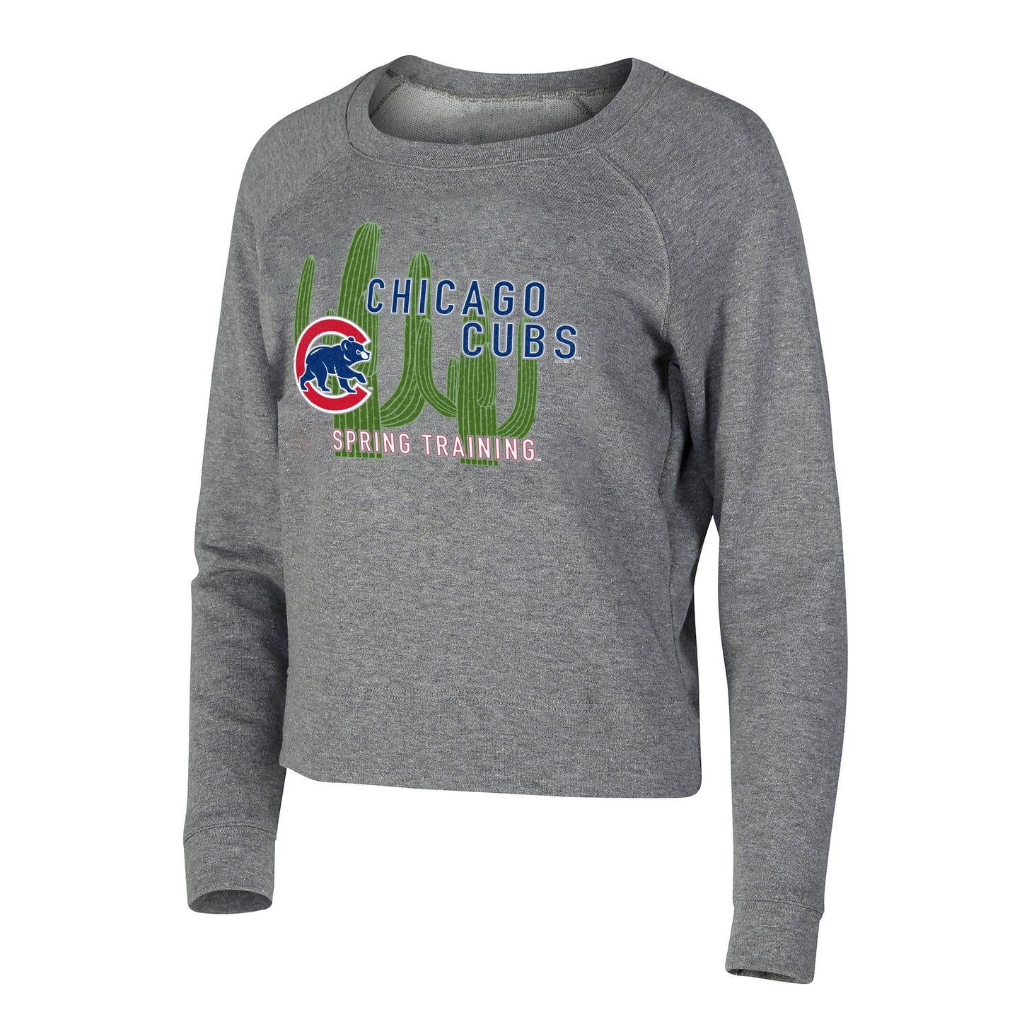 Chicago Cubs Spring Training Women's Grey Mainstream Crewneck Sweatshirt