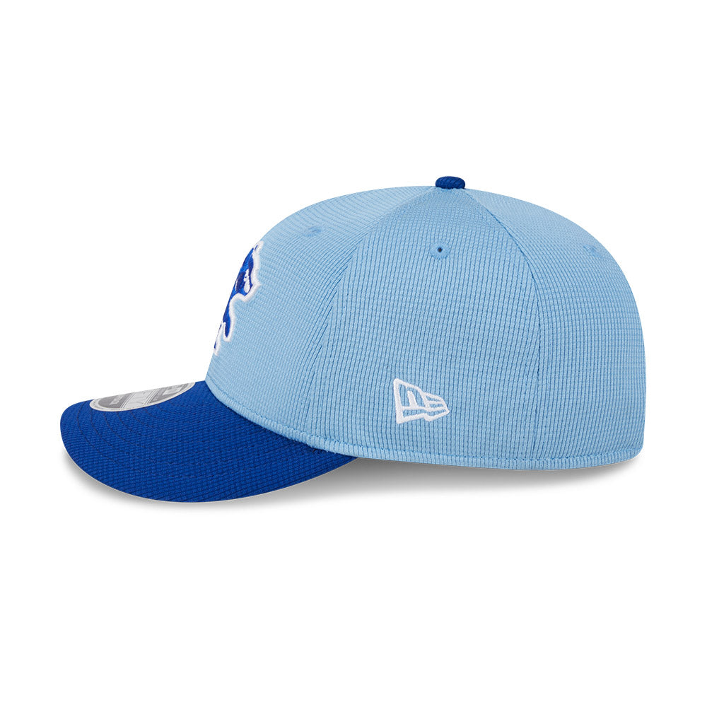 Chicago Cubs Sky/Royal Walking Bear New Era 9FIFTY Snapback Hat