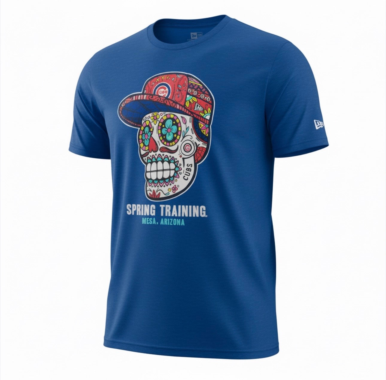 Chicago Cubs Skull Spring Training Mesa, AZ Royal New Era T-Shirt