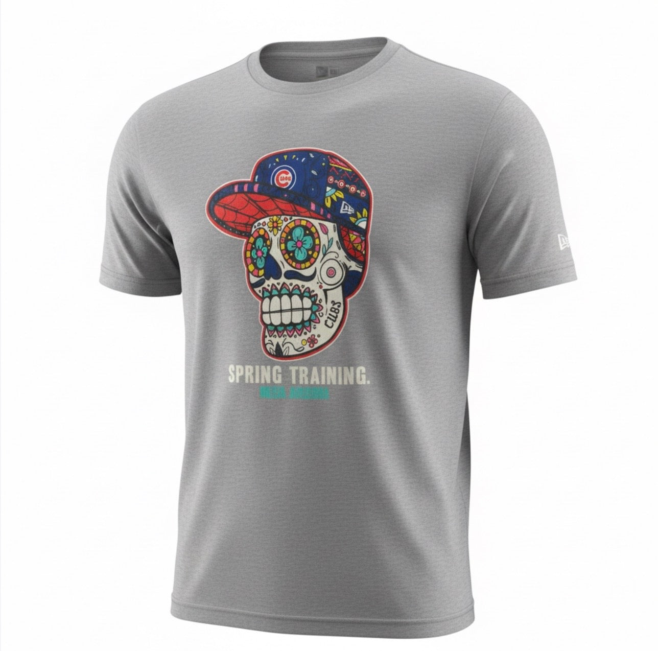 Chicago Cubs Skull Spring Training Mesa, AZ Grey New Era T-Shirt