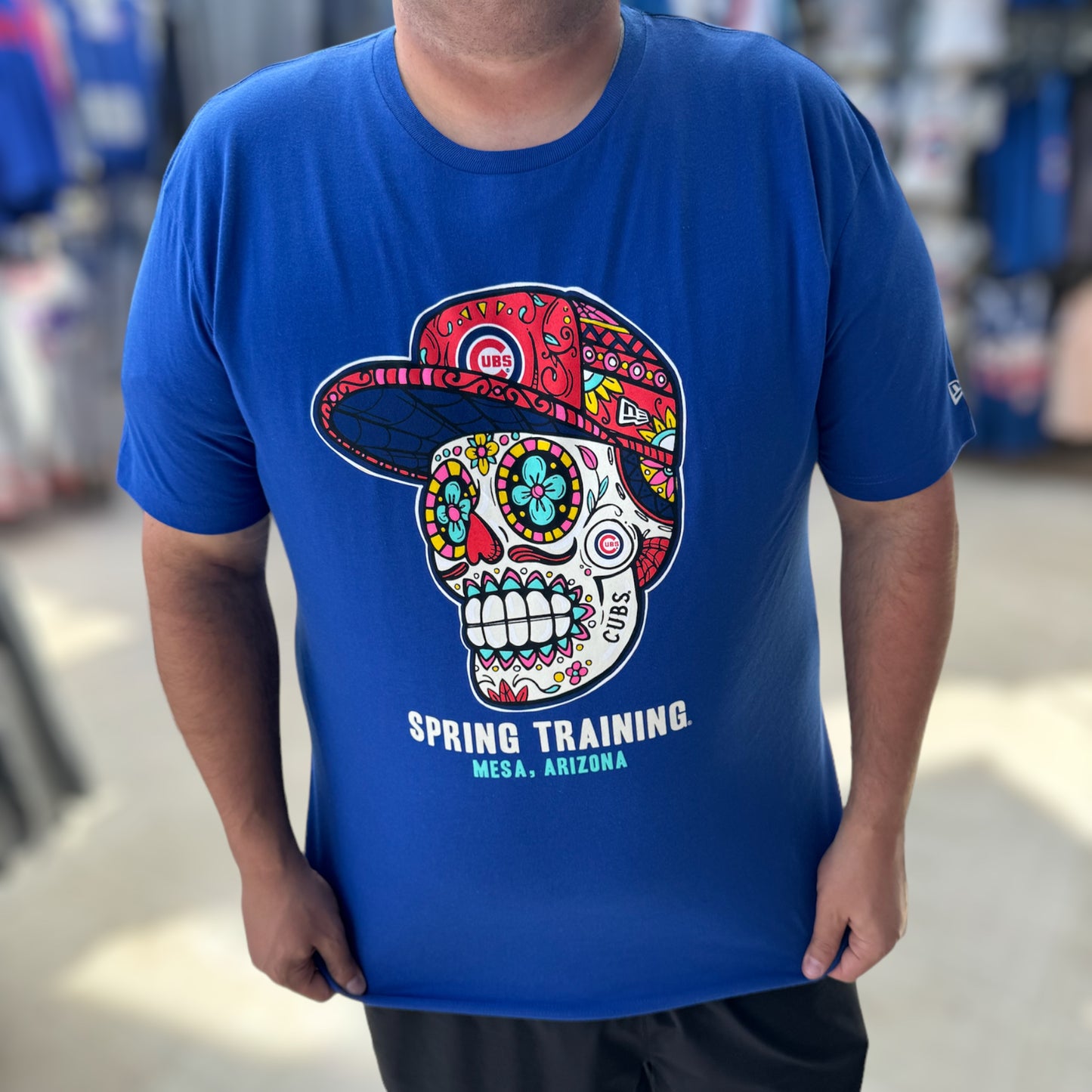 Chicago Cubs Skull Spring Training Mesa, AZ Royal New Era T-Shirt