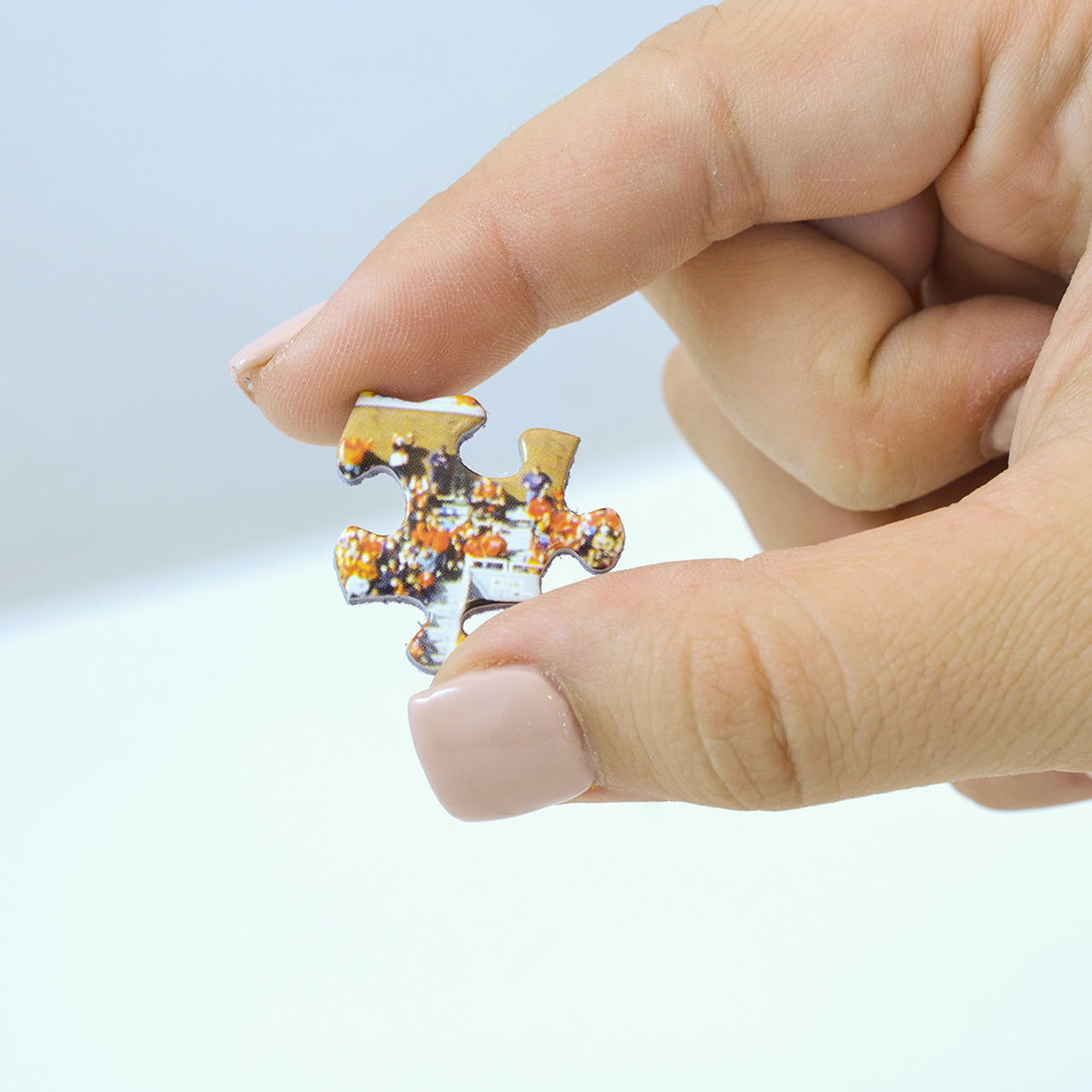 Chicago Blackhawks 1000 Piece Stadium Panoramic Puzzle