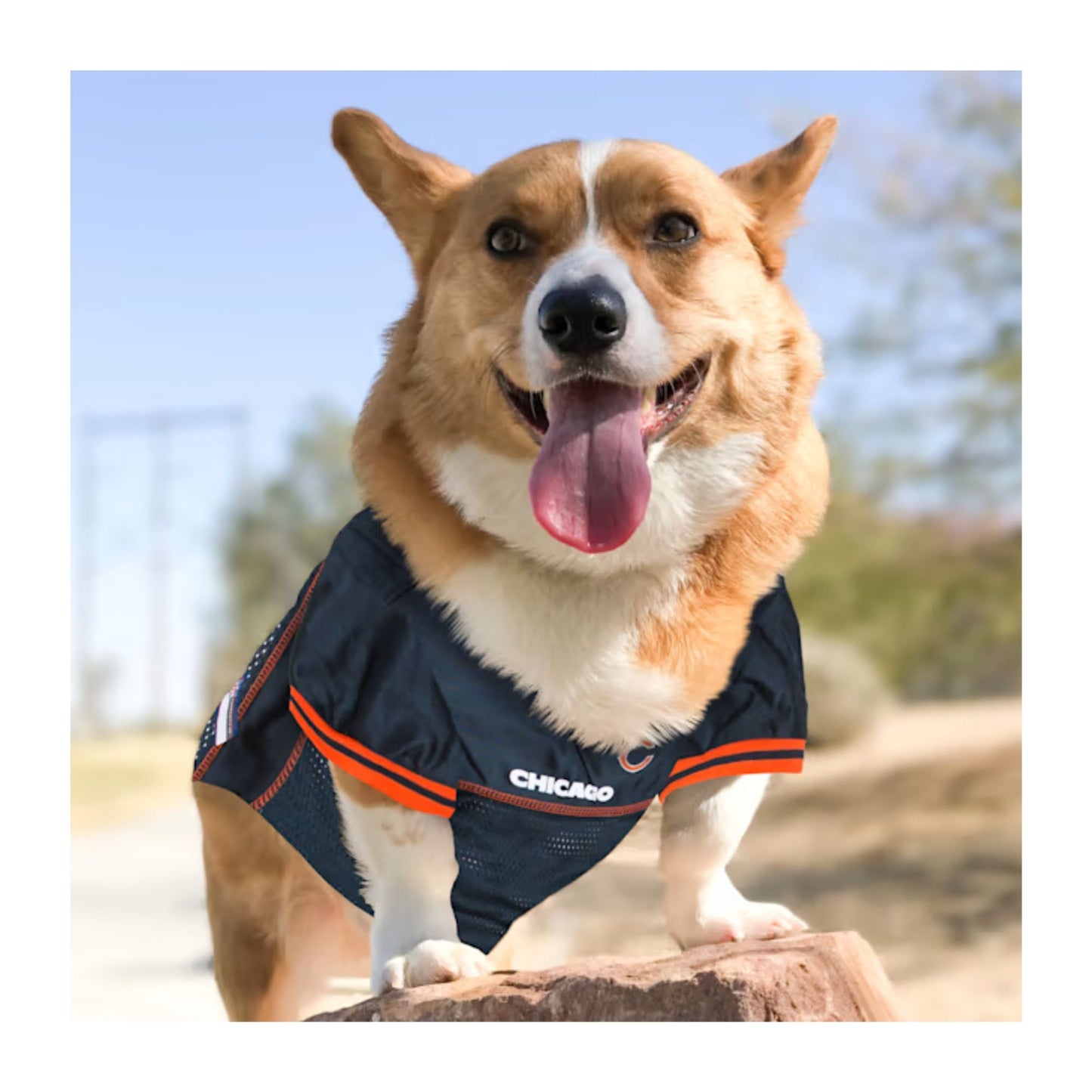 Chicago Bears Navy Pet Jersey