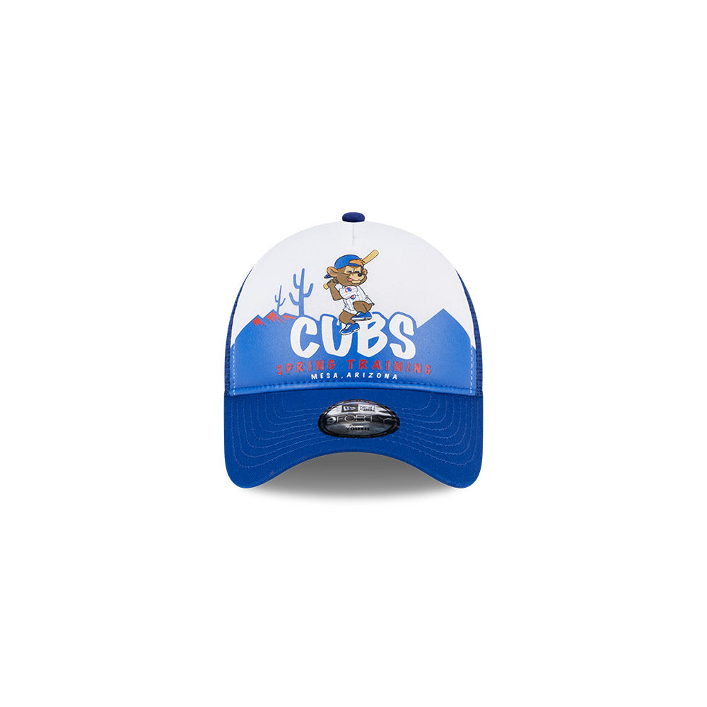 Chicago Cubs Spring Training Mesa, Arizona Clark Youth Hat