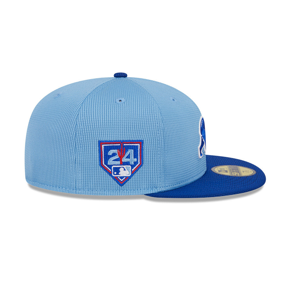 Cubs spring sales training hats 2019