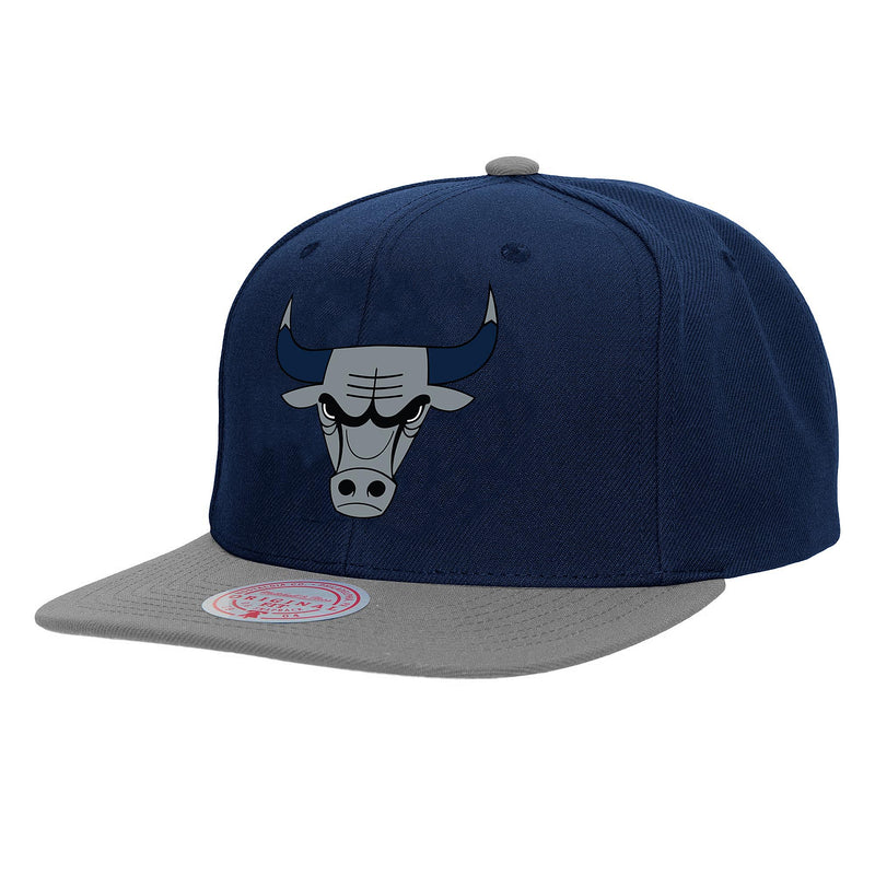 Chicago Bulls Navy/Grey Snapback Hat