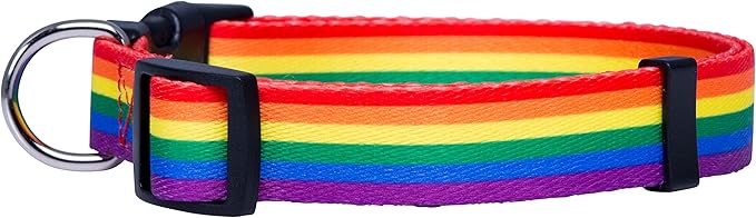 Pride Dog Collar