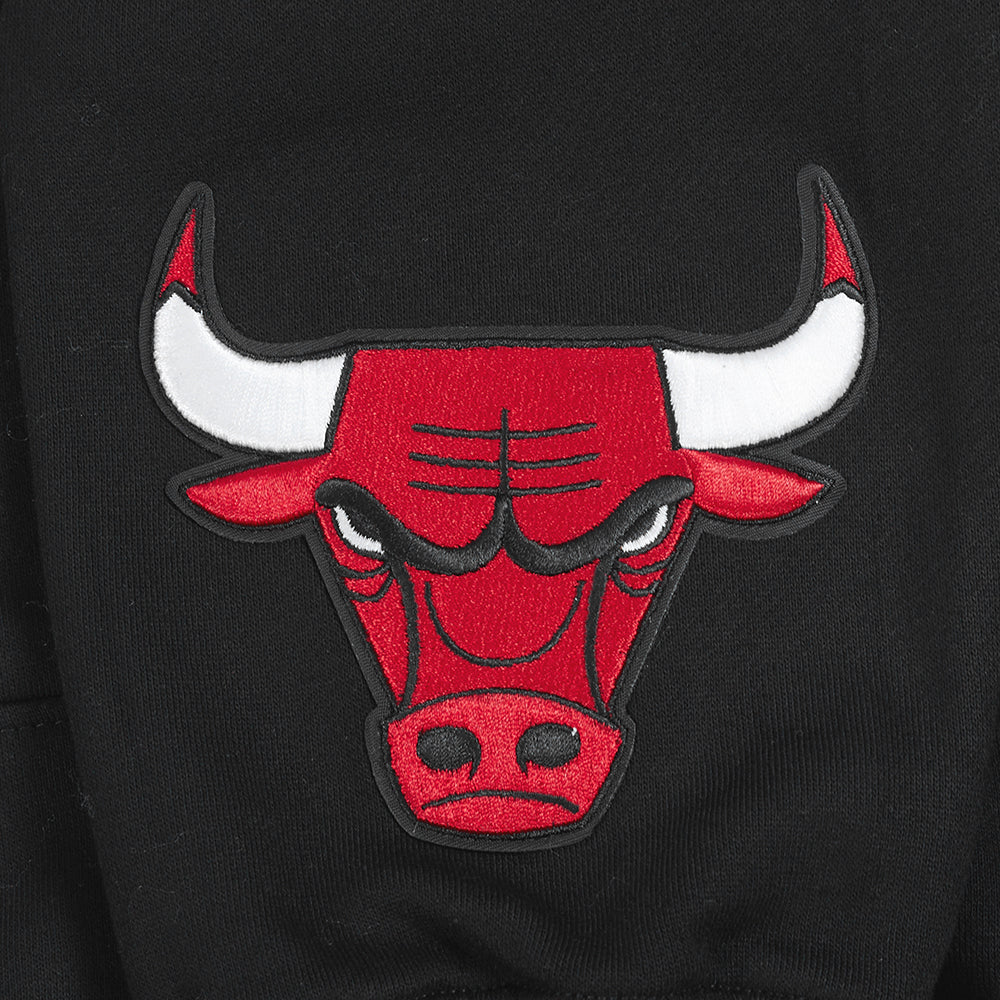 Chicago Bulls Pro Standard Black Wingspan Hoodie