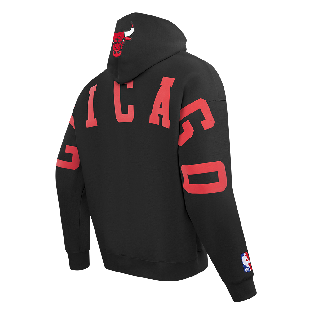 Chicago Bulls Pro Standard Black Wingspan Hoodie