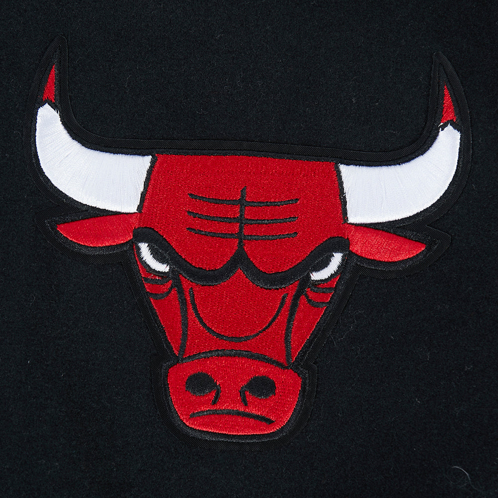 Chicago Bulls Pro Standard City Arch Wool Varsity Jacket
