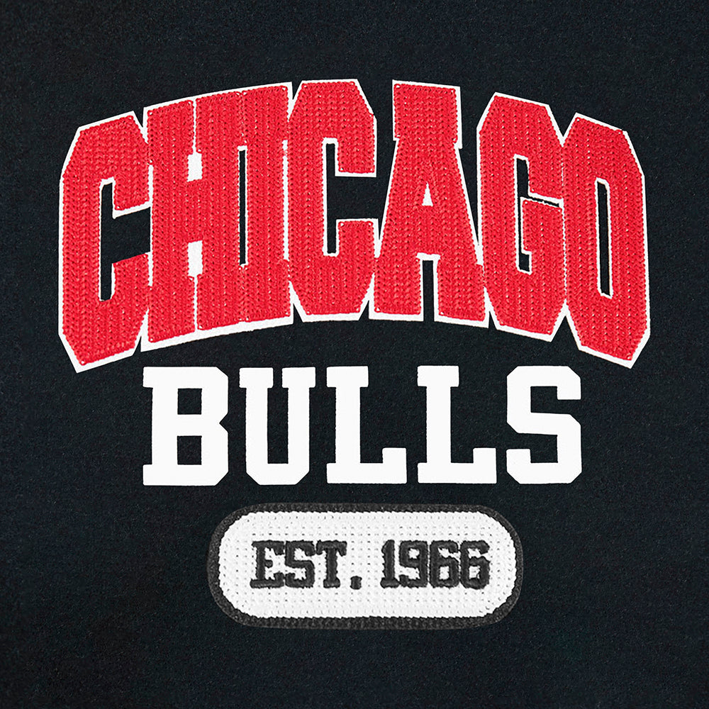 Chicago Bulls Pro Standard City Arch Wool Varsity Jacket