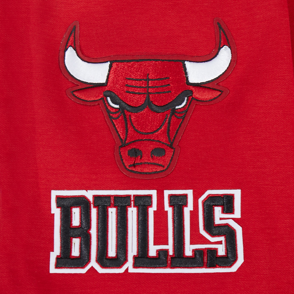 Chicago Bulls Pro Standard Men's Red Classic Chenille Full Zip Hoodie