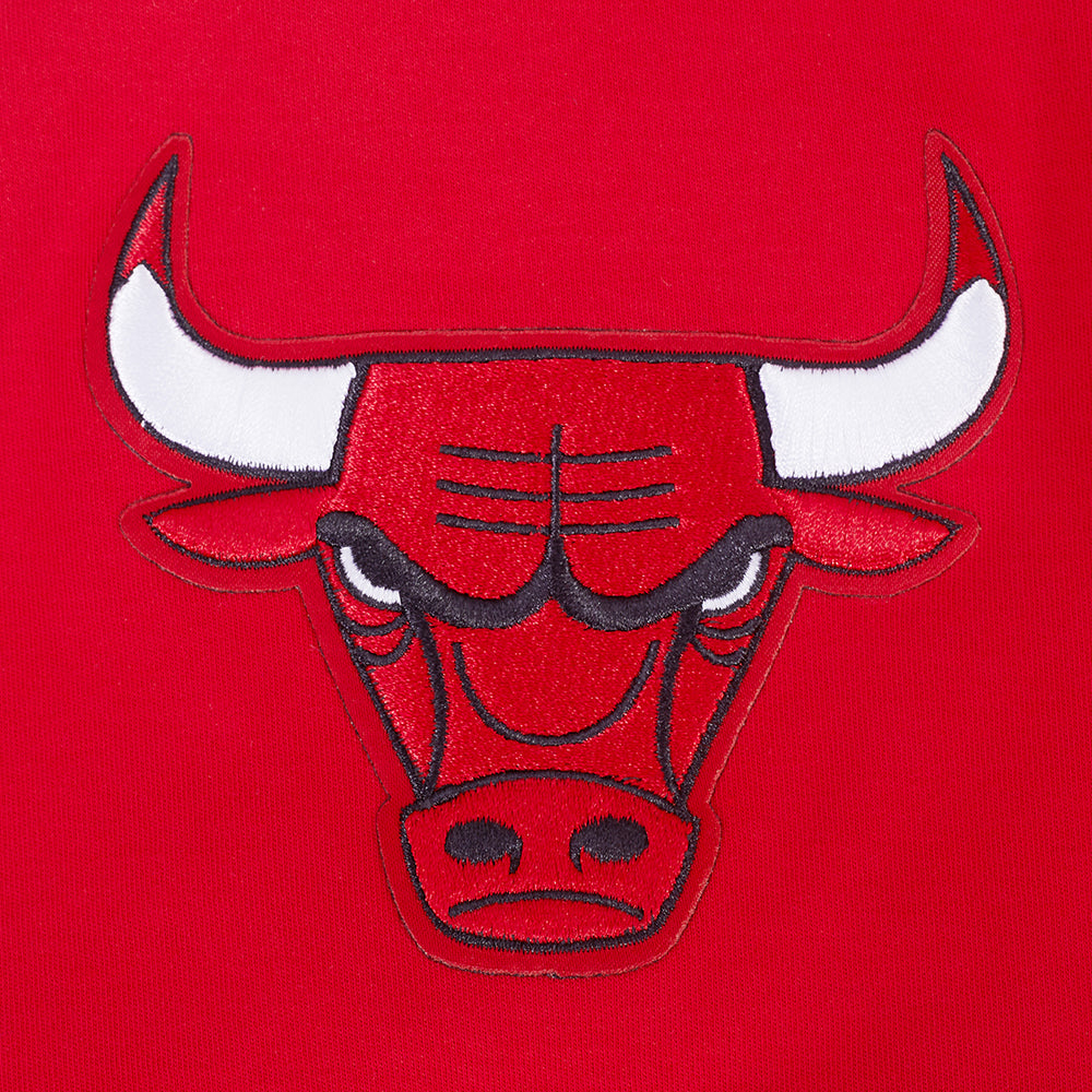 Chicago Bulls Pro Standard Men's Red Retro Classic T-Shirt