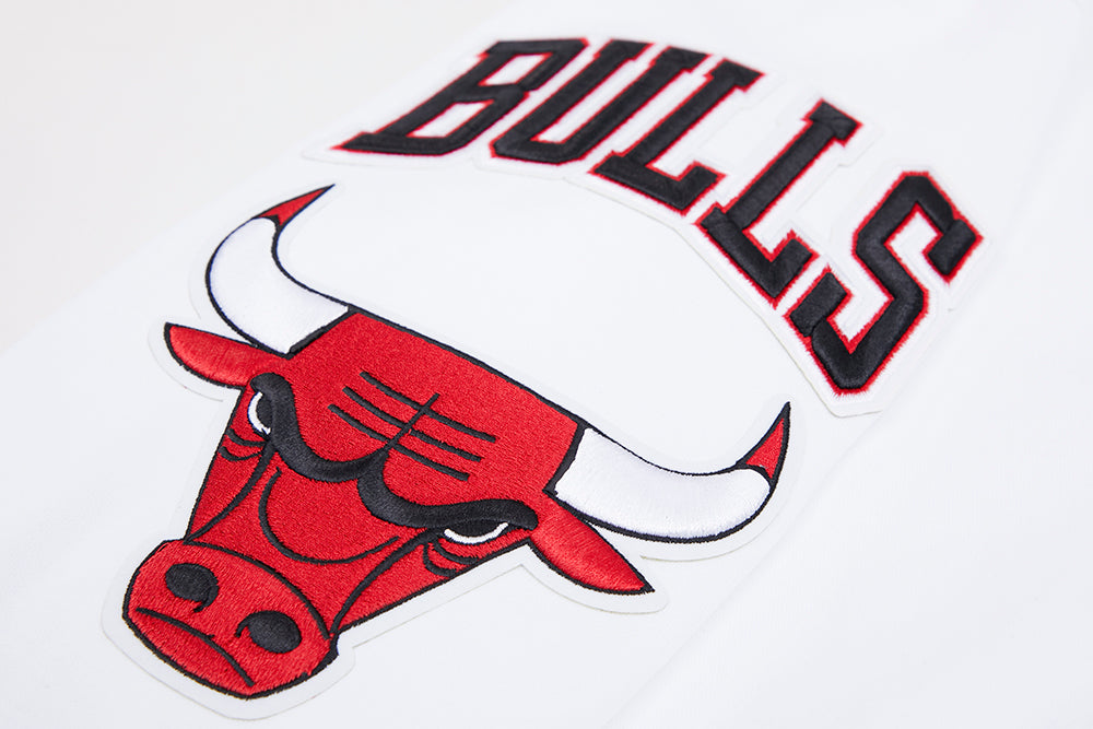 Chicago Bulls Pro Standard White Full Zip Chenille Hoodie