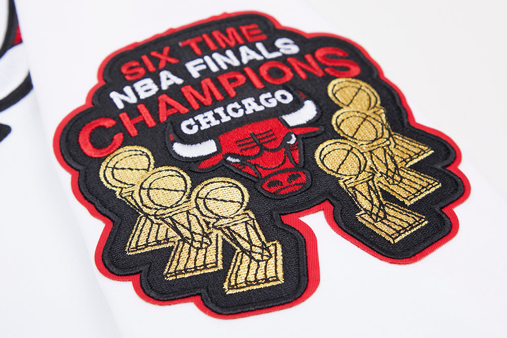 Chicago Bulls Pro Standard White Full Zip Chenille Hoodie