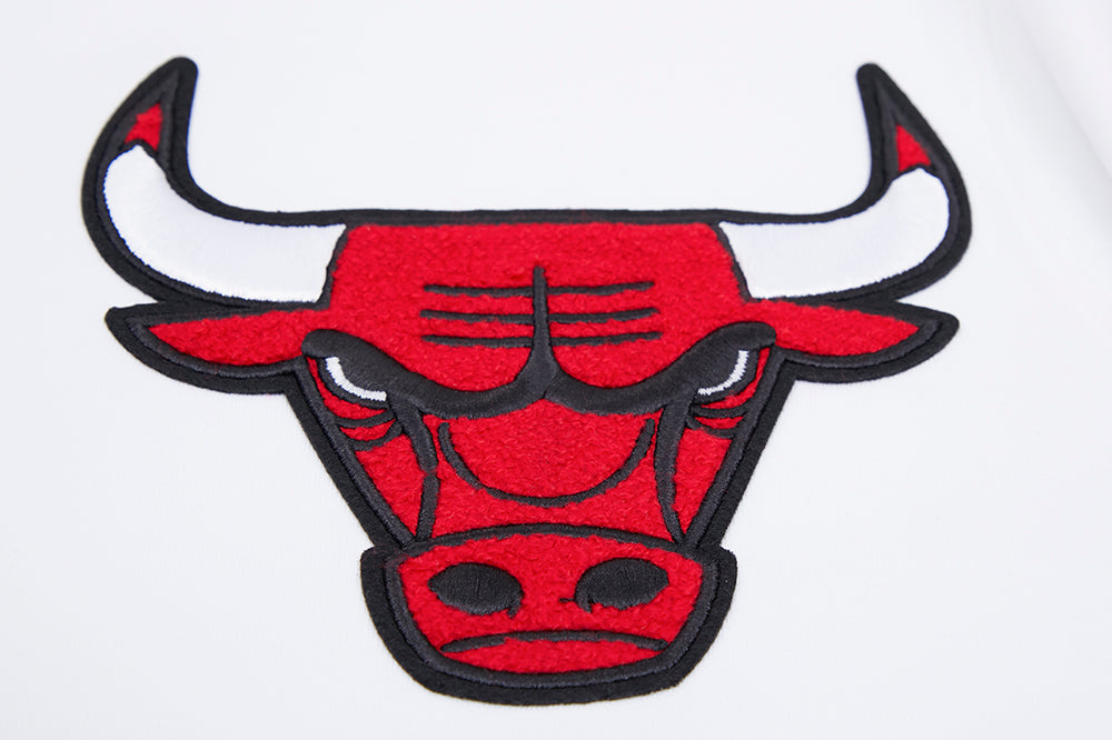 Chicago Bulls Pro Standard White Full Zip Chenille Hoodie