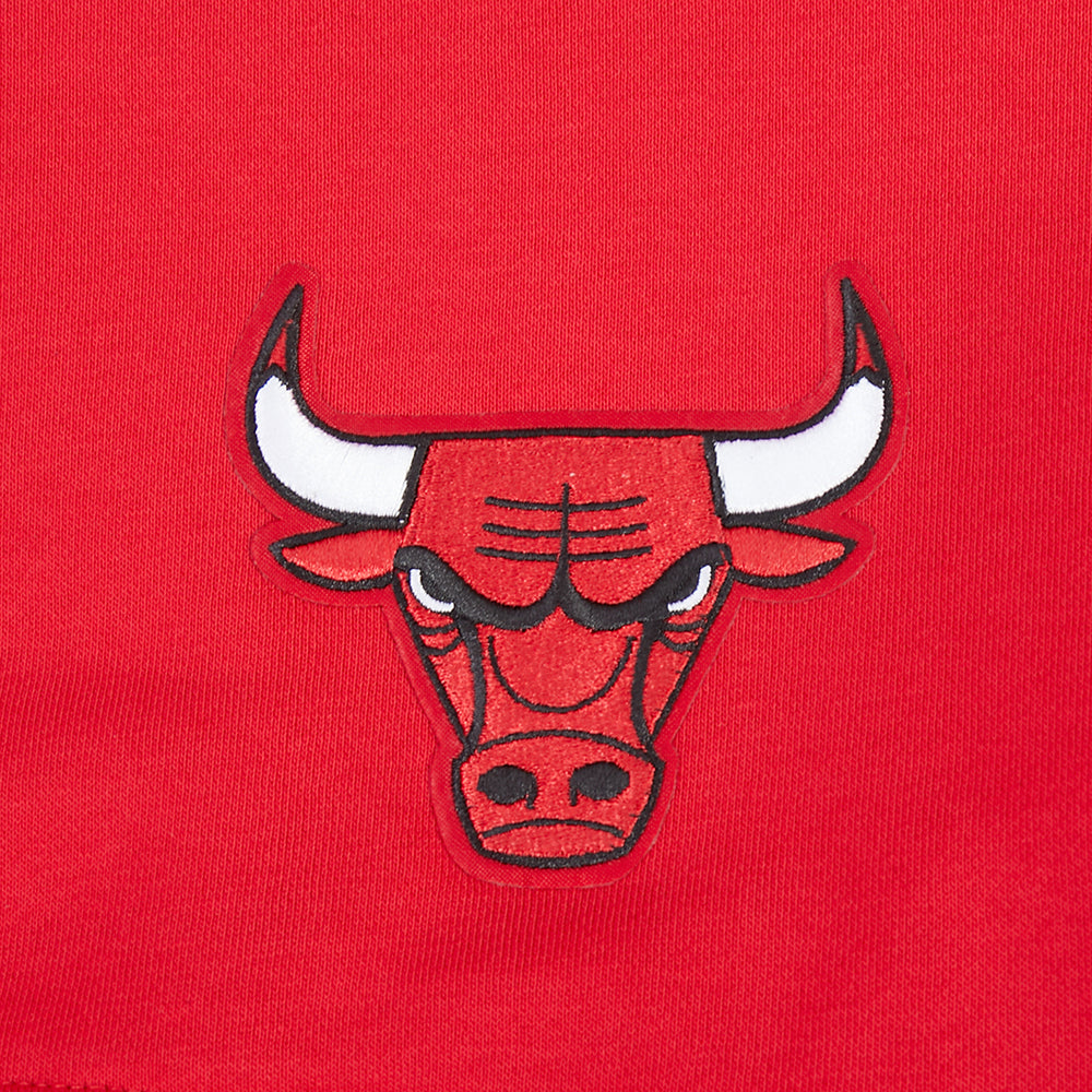 Chicago Bulls Pro Standard Women's Red Wingspan Crewneck Sweatshirt