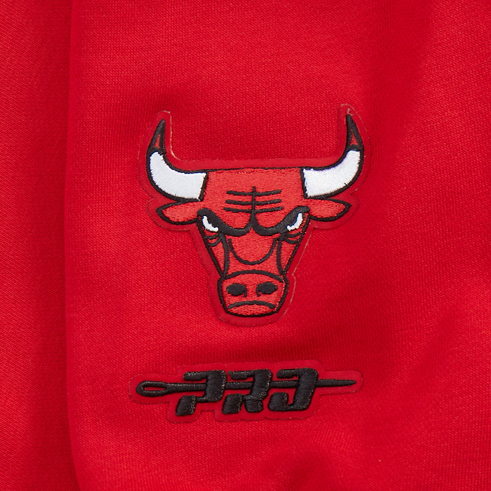 Chicago Bulls Pro Standard Women's Red Wingspan Crewneck Sweatshirt