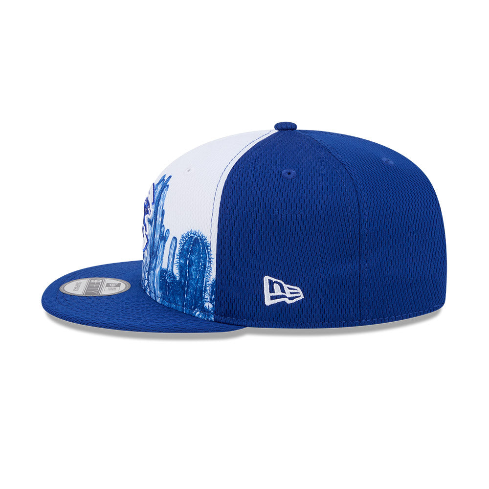 Chicago Cubs Spring Training New Era 9FIFTY Royal/White Grow Snapback Hat