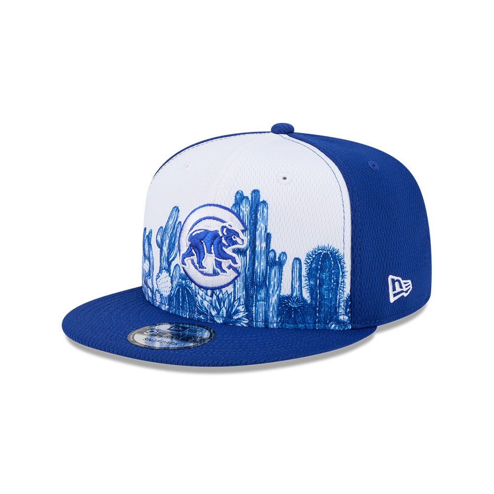 Chicago Cubs Spring Training New Era 9FIFTY Royal/White Grow Snapback Hat