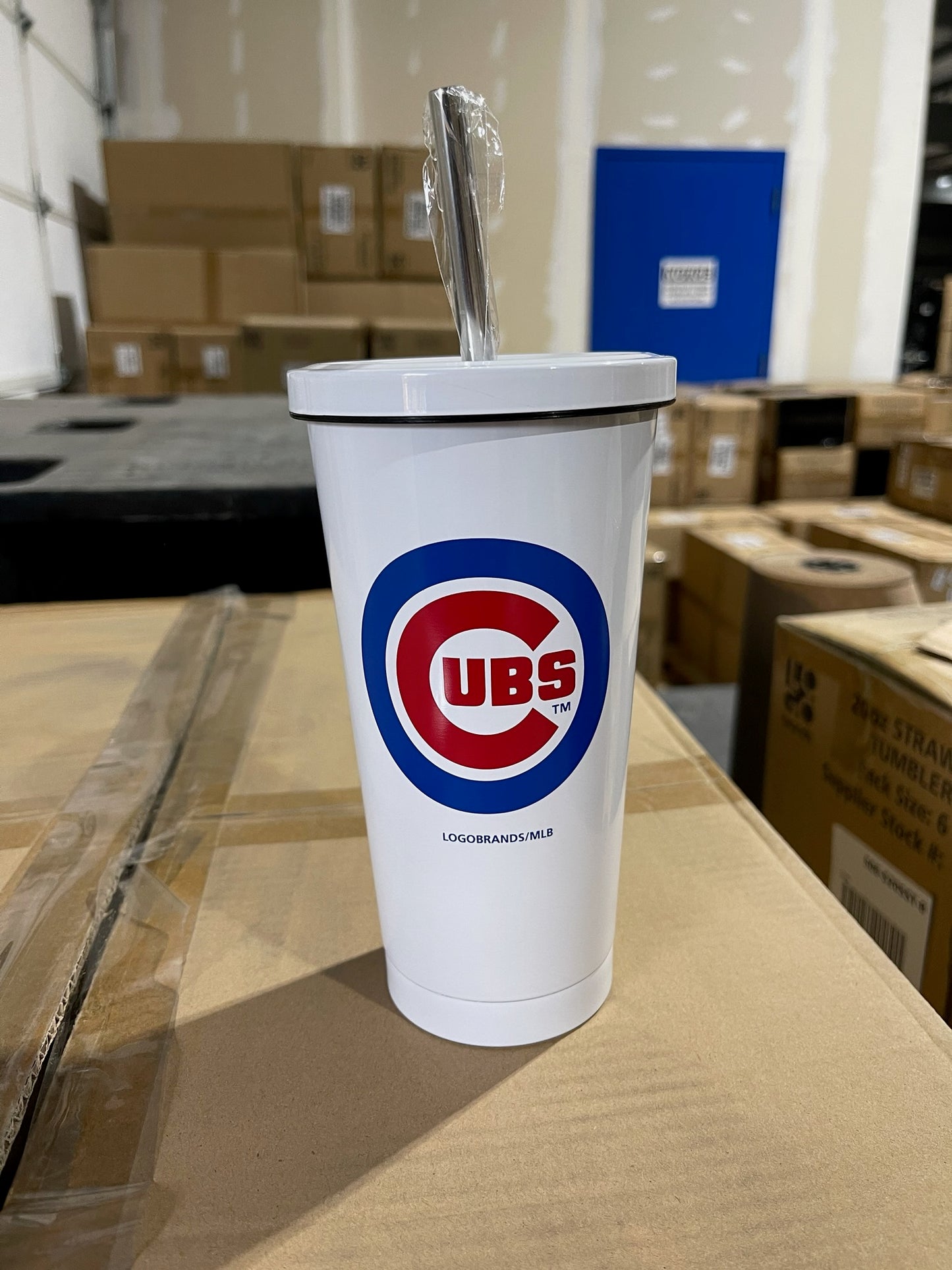 Chicago Cubs White Stainless Steel Straw Lid Bottle