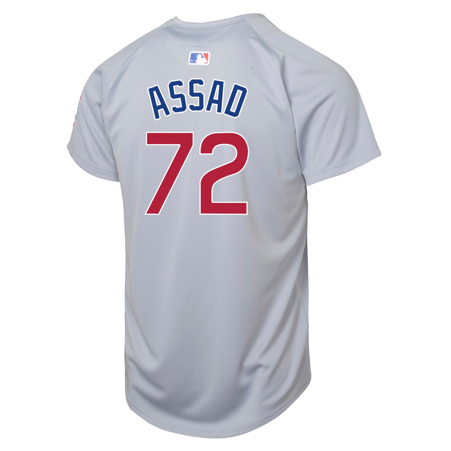 Javier Assad Chicago Cubs Nike Youth Road Grey Limited Jersey