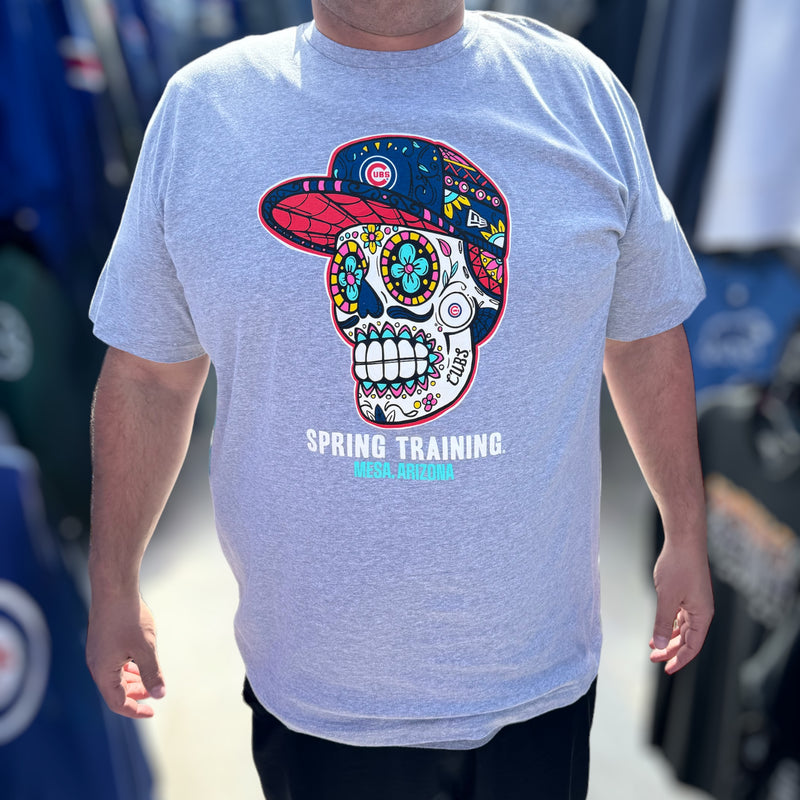 Chicago Cubs Skull Spring Training Mesa, AZ Grey New Era T-Shirt