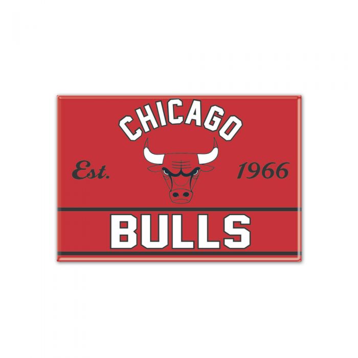 Chicago Bulls 2.5"x3.5" Metal Magnet