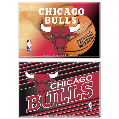 Chicago Bulls 2" x 3" 2-Pack Magnets