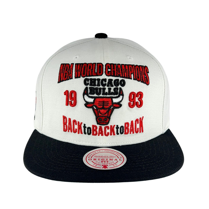 1991 Chicago Bulls Back2Back NBA World Champion