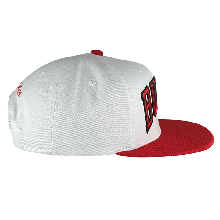 NBA Core Basic Snapback Bulls