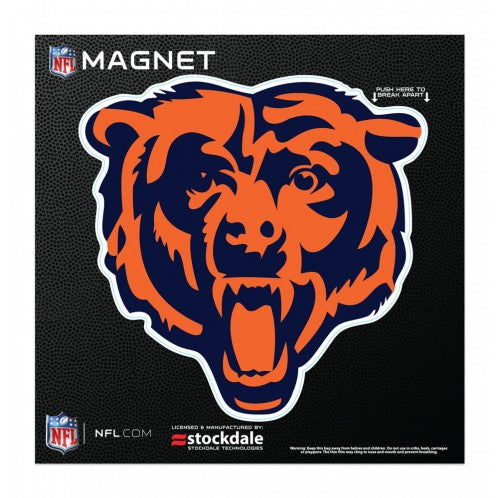Chicago Bears 100 Years 2x3 Magnet