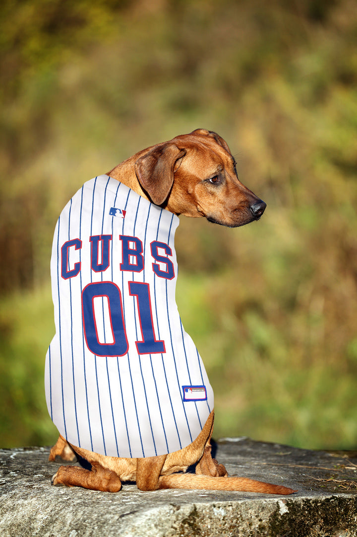 Sporty K9 MLB Baseball Striped Dog Jersey, Chicago Cubs Large