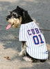 Chicago Cubs Pinstripe Dog Jersey