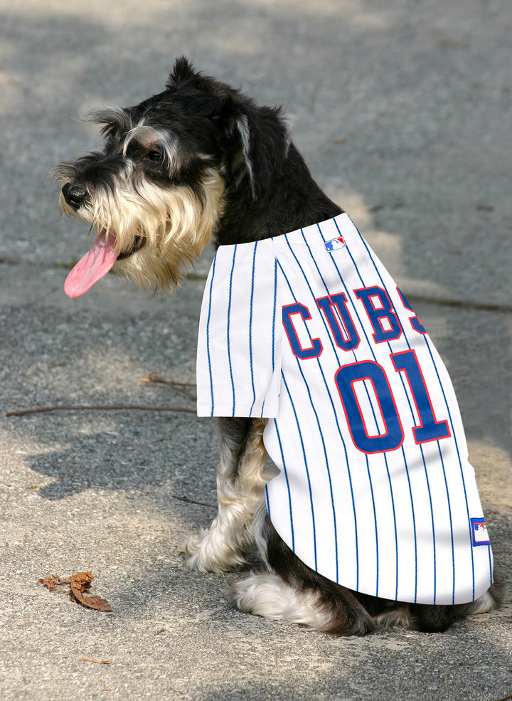 chicago cubs dog shirt